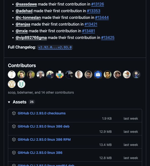 GitHub Releases 里的 Assets 下载区